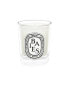 Diptyque Baies Candles