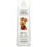 Фото #1 товара Professional Pet Care, 2-In-1 Pet Shampoo & Conditioner, Oatmeal & Coconut, 16 fl oz (473 ml)