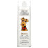 Professional Pet Care, 2-In-1 Pet Shampoo & Conditioner, For Dogs, Oatmeal & Coconut, 16 fl oz (473 ml)