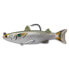 Фото #4 товара LIVE TARGET Mullet swimbait 28g 115 mm