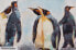 Фото #3 товара Acrylbild handgemalt Kreis der Pinguine