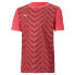 PUMA ftblNXT Graphic Core short sleeve T-shirt