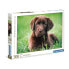 Фото #3 товара Puzzle Schokoladenwelpe 500 Teile