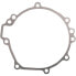 RICKs MOTORSPORT ELECTRIC Kawasaki 25-208 Stator Gasket