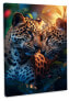 Leinwandbild Leopard Love