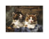 Фото #1 товара Puzzle Zwei Kätzchen in einem Korb
