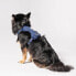 AWOO Huggie Padded Recycled Air Mesh Dog Harness - S - Navy