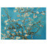 Leinwandbild Almond Blossom