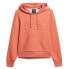 Фото #1 товара SUPERDRY Embossed Vl Graphic hoodie