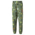 Фото #1 товара Мужские брюки PUMA Ralph Pants Green Casual Athletic