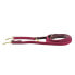 KENTUCKY Plaited Nylon 12 mm Leash