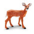 Фото #1 товара Фигурка Safari Ltd Whitetail Fawn Figure (Олень белохолостый)