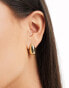 Фото #1 товара Reclaimed Vintage limited edition chubby hoop earrings in gold plate