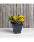 Resin Plastic Square Ella Black Planter/Flower Pot, 16"