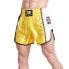 Фото #3 товара LEONE1947 Training Thai Shorts