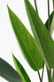 Фото #2 товара Künstliche Pflanze Heliconia