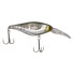 Фото #6 товара Shimano S Hasu ENBER 60SP FLASH BOOST Jerkbait (ENB60SPSH) Fishing