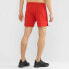 Фото #3 товара SALOMON Sense Shorts