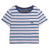 SUPERDRY Vintage Stripe Crop T-shirt