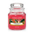 Aromatic Candle Classic Small Tropical Jungle 104g