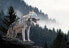 Фото #1 товара Vlies Fototapete Wald Nebel Wolf Tiere