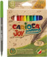 Carioca Flamastry Carioca Joy EcoFamily 12 kolorów