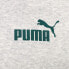 Худи PUMA Essentials Small Pullover Gray