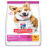 ფოტო #2 პროდუქტის HILL´S Science plan adult small&mini chicken 1 dog food 5 kg