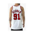 Фото #5 товара Майка баскетбольная Mitchell&Ness Chicago Bulls Dennis Rodman
