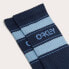 Фото #3 товара OAKLEY APPAREL B1B Icon Half long socks 3 pairs