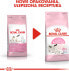 Royal Canin Mother & Babycat 36 0,4 kg