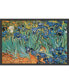 Фото #1 товара Garden Of Irises By Vincent Van Gogh- Framed Art Print