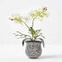 Фото #3 товара Искусственные цветы Homescapes Phalaenopsis weiß-grüne 32 см