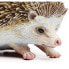 Фото #2 товара SAFARI LTD Hedgehog Figure