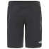 THE NORTH FACE Esker Regular Shorts Pants