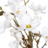 Фото #3 товара Декоративное растение полиэстер полиэтилен Железо 30 x 30 x 60 cm Magnolia