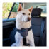 Фото #11 товара Упряжь для собак Company of Animals CarSafe Чёрный Размер М