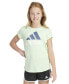 ფოტო #1 პროდუქტის Big Girls Short-Sleeve Cotton Essential Logo Graphic T-Shirt