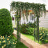 Фото #2 товара Gartenbogen SF6436DE