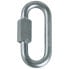 MAMMUT Maillon Snap Hook