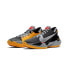 Nike Zoom Freak 2 Taxi Giannis