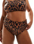 Фото #3 товара ASOS DESIGN Curve Adrienne high leg high waist bikini bottom in oversized animal