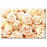 Фото #1 товара Leinwandbild Creamy Roses