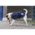 ფოტო #3 პროდუქტის DIEGO & LOUNA 600 D Dog Jacket