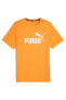Фото #1 товара Erkek T-Shirt orange 586667