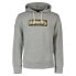 SUPERDRY Core Logo Infill hoodie