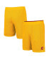 ფოტო #2 პროდუქტის Men's Cardinal, Gold USC Trojans Wiggum Reversible Wordmark Shorts