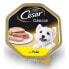 Фото #2 товара MARS Cesar Chicken 300G Dog Snack 20 Units