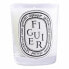 Фото #1 товара Ароматизированная свеча Diptyque Scented Candle 190 g