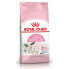 ფოტო #2 პროდუქტის ROYAL Babycat 34 2kg Cat Feed